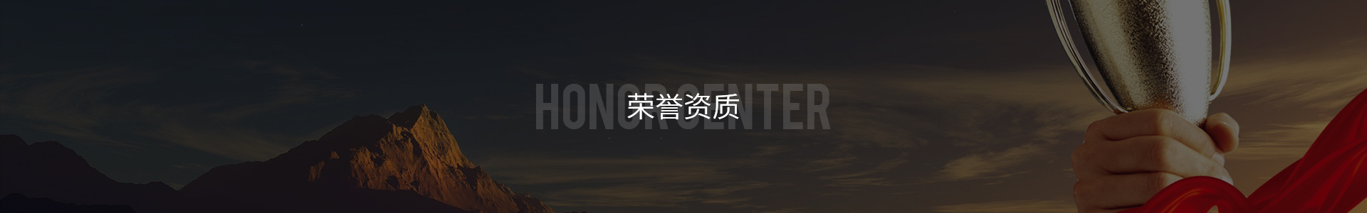榮譽資質(zhì)